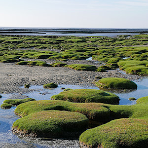 Read more about the article Sankt Peter-Ording im November?